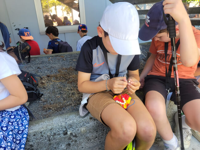 Sortie à Lourdes pour les enfants d'Hasparren et de Briscous  : 