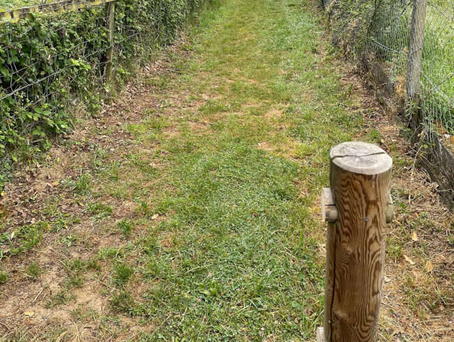 sortie de fin d'année du catéchisme du relais Ayherre, Isturits, St Esteben et St Martin d'Arbéroue  : 